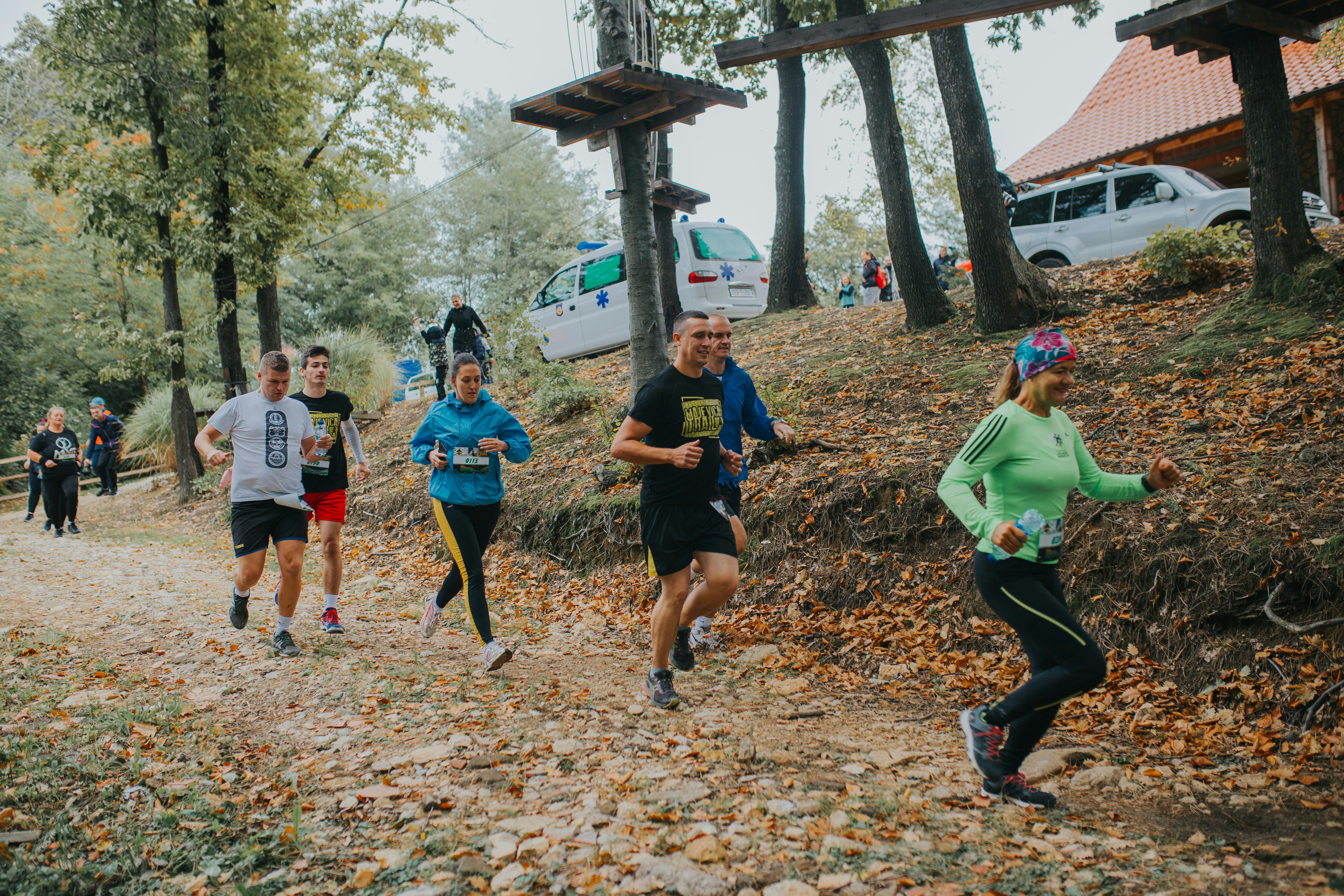 people walking on brown dried leaves during daytime